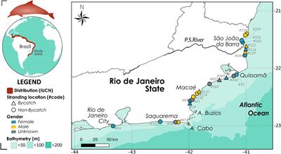 Subcellular Cadmium, Lead and Mercury Compartmentalization in Guiana Dolphins (Sotalia guianensis) From Southeastern Brazil